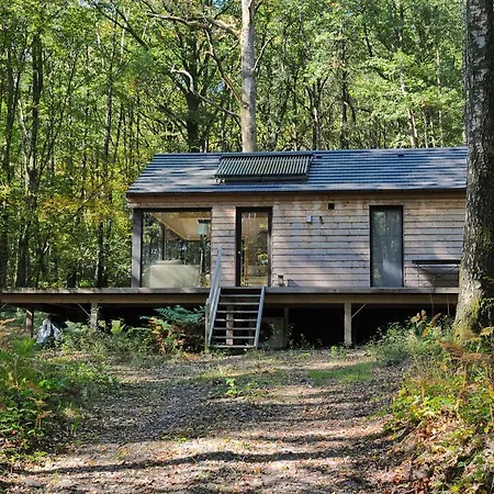 Droles D'ecureuils Les Nobertins