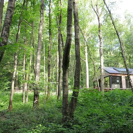 Holiday home Droles D'ecureuils Les Nobertins