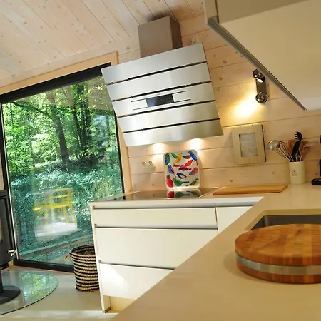 Droles D'ecureuils Les Nobertins